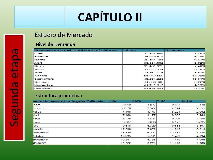 CAPÍTULO II Estudio de Mercado Segunda etapa Nivel de Demanda Estructura productiva 