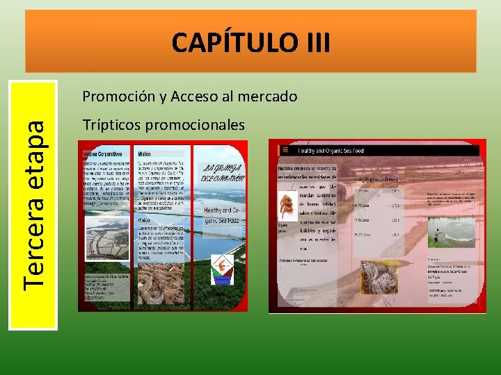 CAPÍTULO III Tercera etapa Promoción y Acceso al mercado Trípticos promocionales 