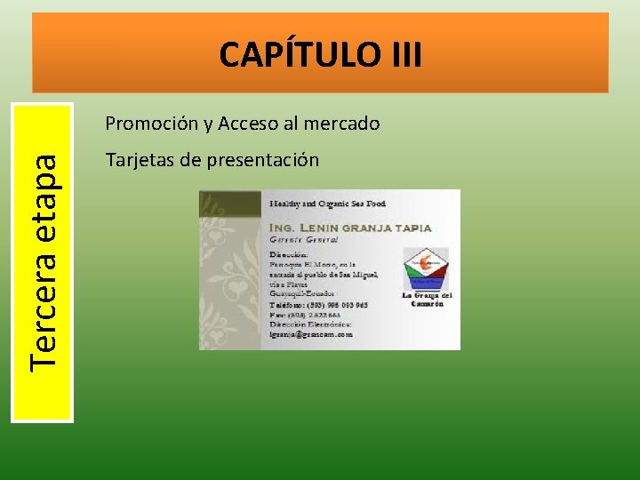 CAPÍTULO III Tercera etapa Promoción y Acceso al mercado Tarjetas de presentación 