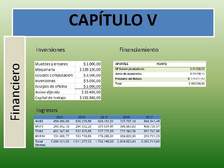 CAPÍTULO V Financiero Inversiones Ingresos Financiamiento 