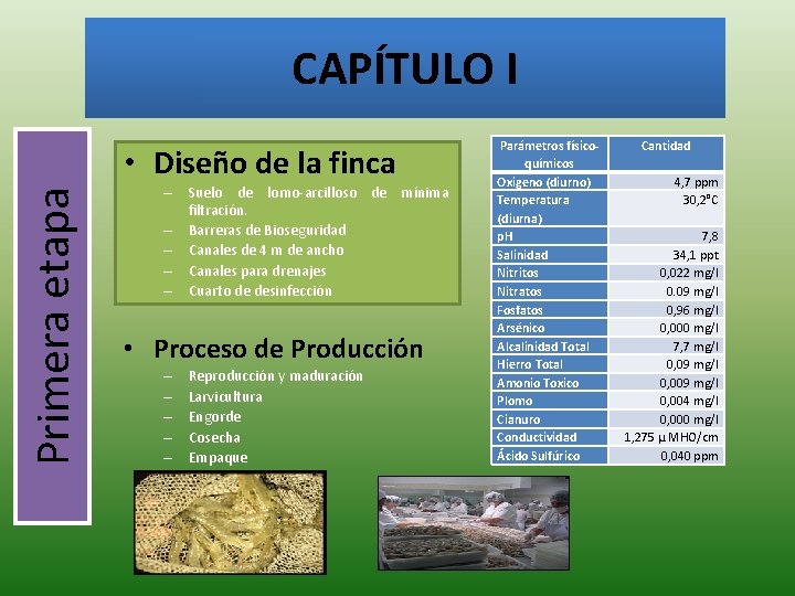 CAPÍTULO I Primera etapa • Diseño de la finca – Suelo de lomo-arcilloso de