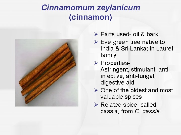 Cinnamomum zeylanicum (cinnamon) Ø Parts used- oil & bark Ø Evergreen tree native to