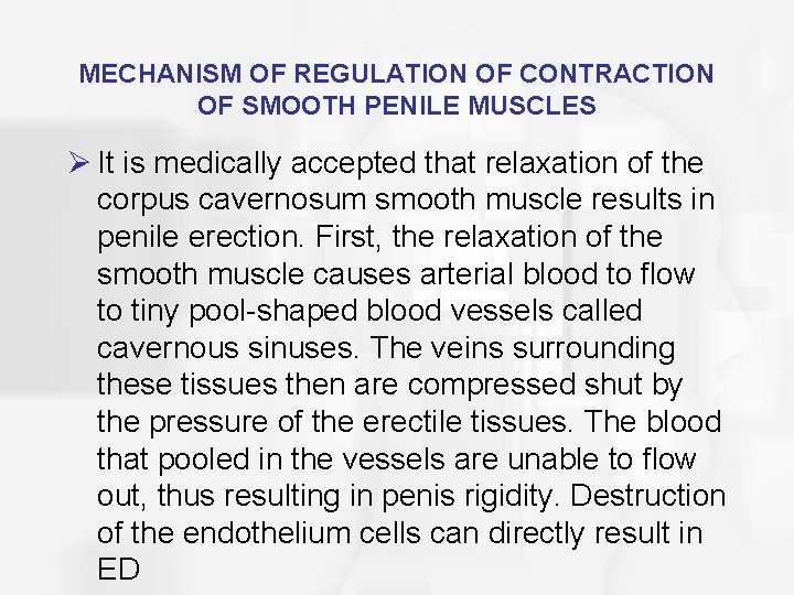 MECHANISM OF REGULATION OF CONTRACTION OF SMOOTH PENILE MUSCLES Ø It is medically accepted