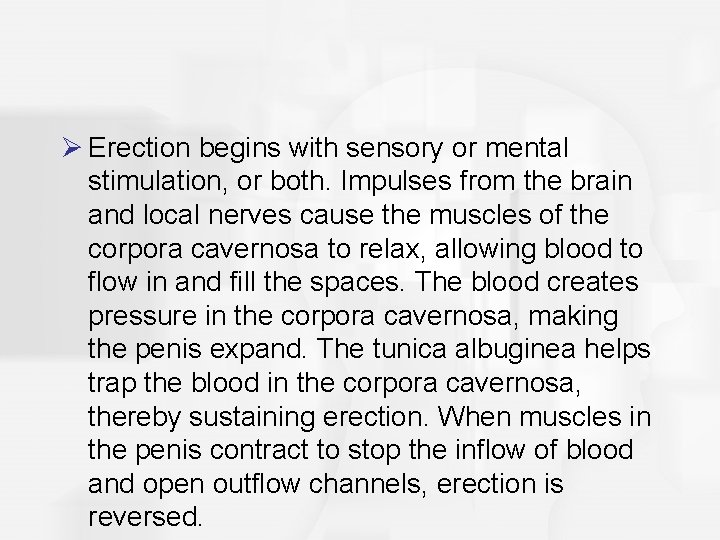 Ø Erection begins with sensory or mental stimulation, or both. Impulses from the brain