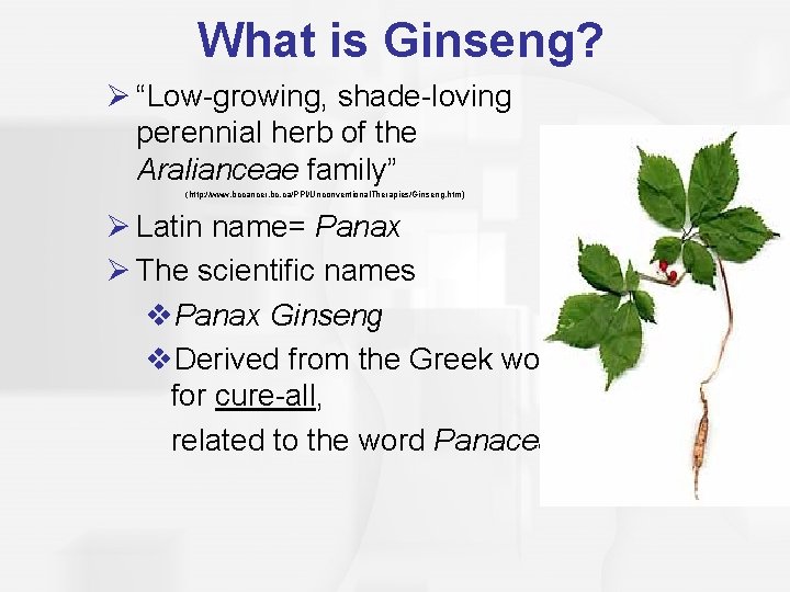 What is Ginseng? Ø “Low-growing, shade-loving perennial herb of the Aralianceae family” (http: //www.