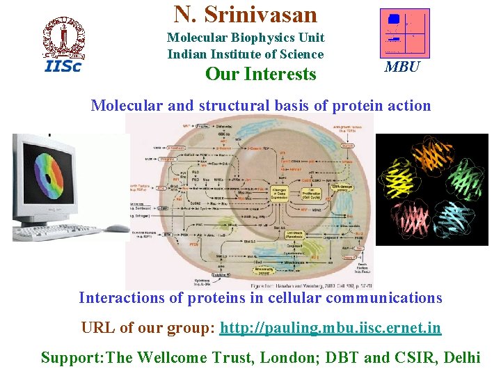 N. Srinivasan Molecular Biophysics Unit Indian Institute of Science Our Interests MBU Molecular and