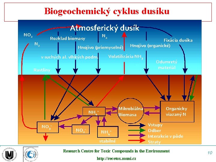 Biogeochemický cyklus dusíku Atmosferický dusík NO 2 N 2 Rozklad biomasy Hnojivo (priemyselné) v