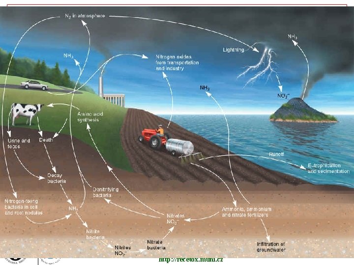 Research Centre for Toxic Compounds in the Environment http: //recetox. muni. cz 11 