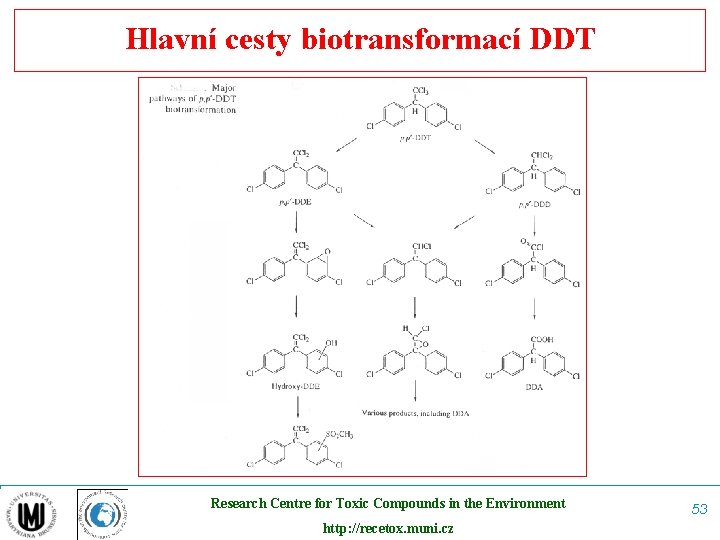 Hlavní cesty biotransformací DDT Research Centre for Toxic Compounds in the Environment http: //recetox.