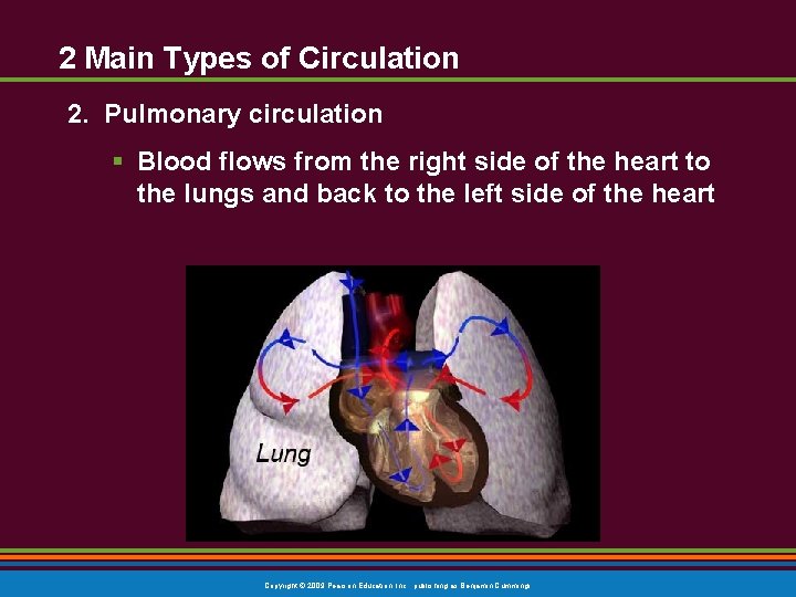2 Main Types of Circulation 2. Pulmonary circulation § Blood flows from the right 2 Main Types of Circulation 2. Pulmonary circulation § Blood flows from the right