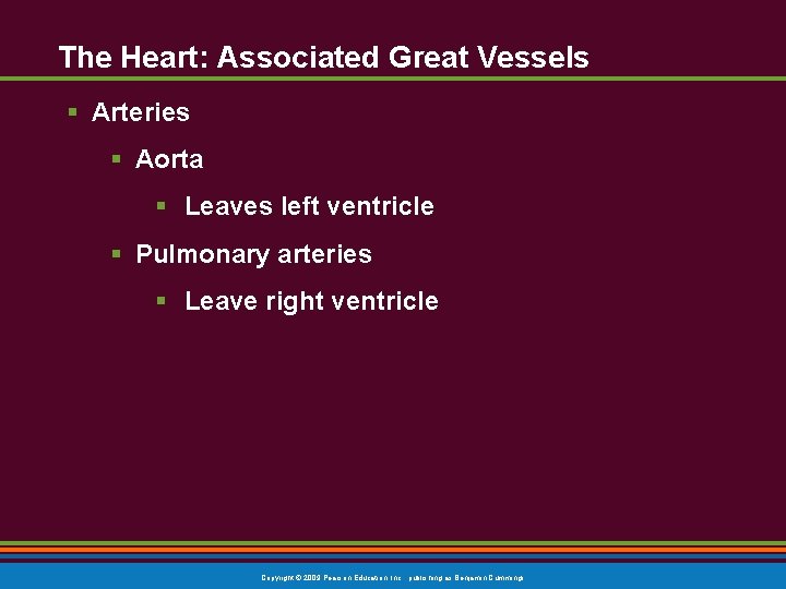 The Heart: Associated Great Vessels § Arteries § Aorta § Leaves left ventricle § The Heart: Associated Great Vessels § Arteries § Aorta § Leaves left ventricle §