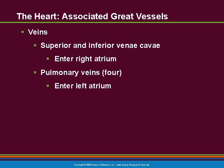 The Heart: Associated Great Vessels § Veins § Superior and inferior venae cavae § The Heart: Associated Great Vessels § Veins § Superior and inferior venae cavae §