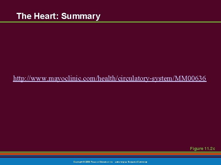 The Heart: Summary http: //www. mayoclinic. com/health/circulatory-system/MM 00636 Figure 11. 2 c Copyright © The Heart: Summary http: //www. mayoclinic. com/health/circulatory-system/MM 00636 Figure 11. 2 c Copyright ©