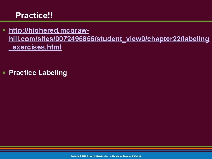 Practice!! § http: //highered. mcgrawhill. com/sites/0072495855/student_view 0/chapter 22/labeling _exercises. html § Practice Labeling Copyright Practice!! § http: //highered. mcgrawhill. com/sites/0072495855/student_view 0/chapter 22/labeling _exercises. html § Practice Labeling Copyright