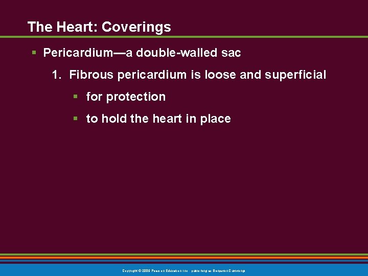The Heart: Coverings § Pericardium—a double-walled sac 1. Fibrous pericardium is loose and superficial The Heart: Coverings § Pericardium—a double-walled sac 1. Fibrous pericardium is loose and superficial