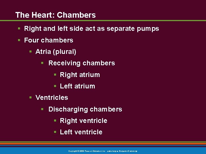 The Heart: Chambers § Right and left side act as separate pumps § Four The Heart: Chambers § Right and left side act as separate pumps § Four