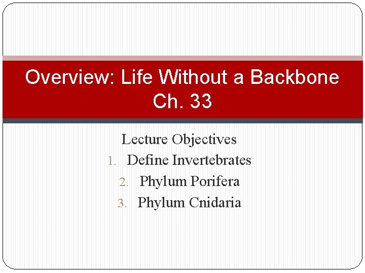 Overview: Life Without a Backbone Ch. 33 Lecture Objectives 1. Define Invertebrates 2. Phylum