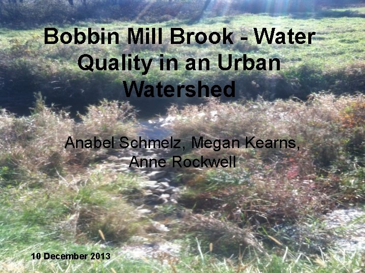 Bobbin Mill Brook - Water Quality in an Urban Watershed Anabel Schmelz, Megan Kearns,