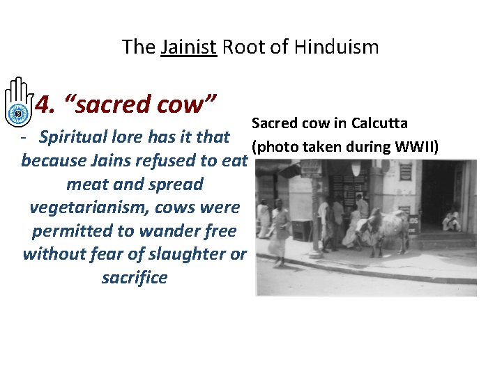 The Jainist Root of Hinduism 4. “sacred cow” - Spiritual lore has it that