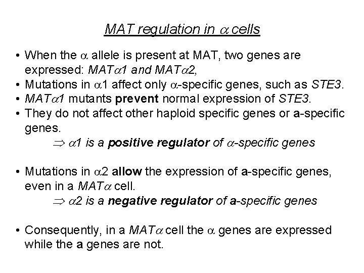 MAT regulation in cells • When the allele is present at MAT, two genes