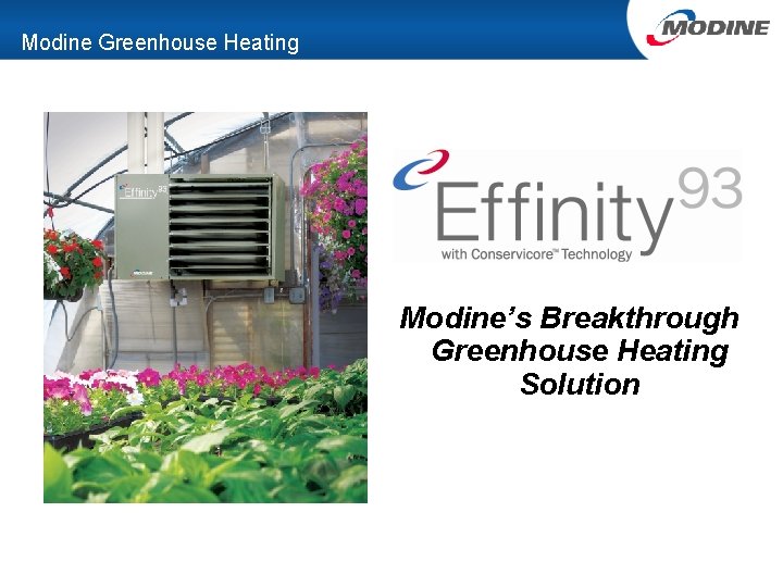 Modine Greenhouse Heating Modine’s Breakthrough Greenhouse Heating Solution 