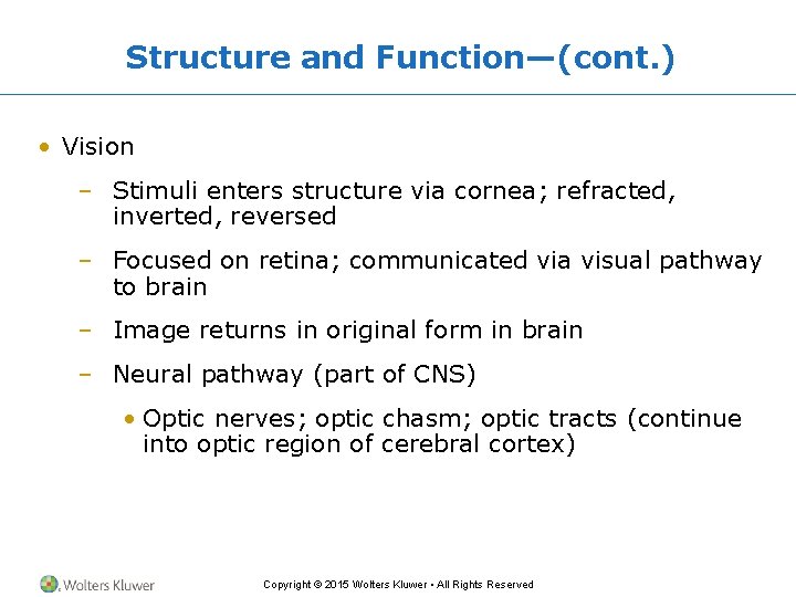 Structure and Function—(cont. ) • Vision – Stimuli enters structure via cornea; refracted, inverted,