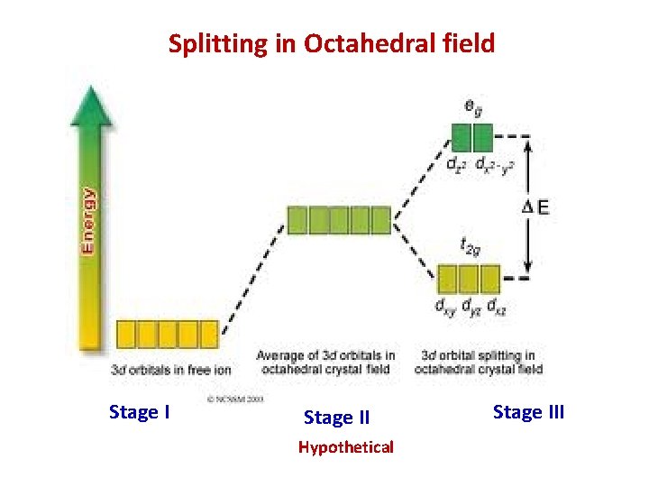 Splitting in Octahedral field Stage II Hypothetical Stage III 