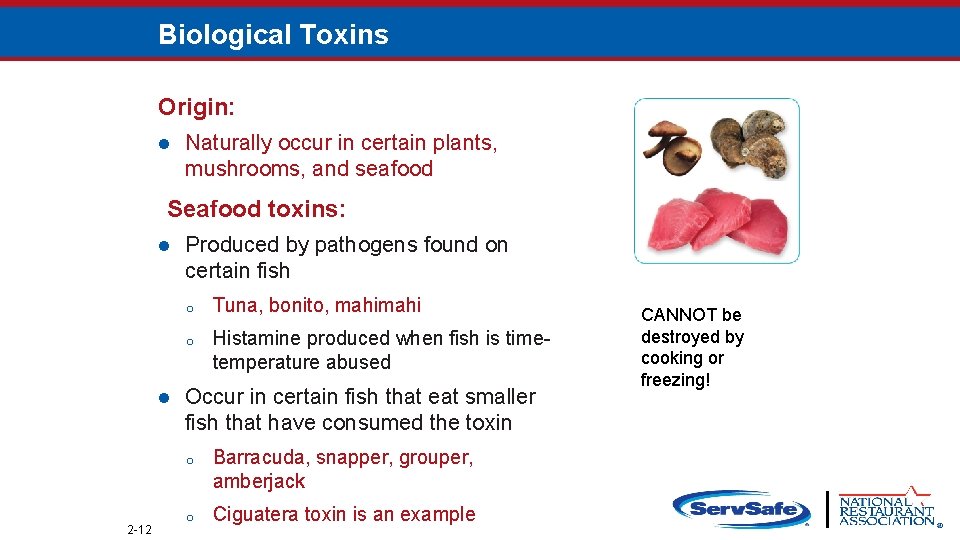 Biological Toxins Origin: l Naturally occur in certain plants, mushrooms, and seafood Seafood toxins: