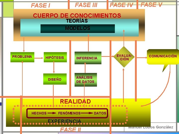 FASE III FASE IV FASE V CUERPO DE CONOCIMIENTOS TEORÍAS MODELOS PROBLEMA HIPÓTESIS DISEÑO