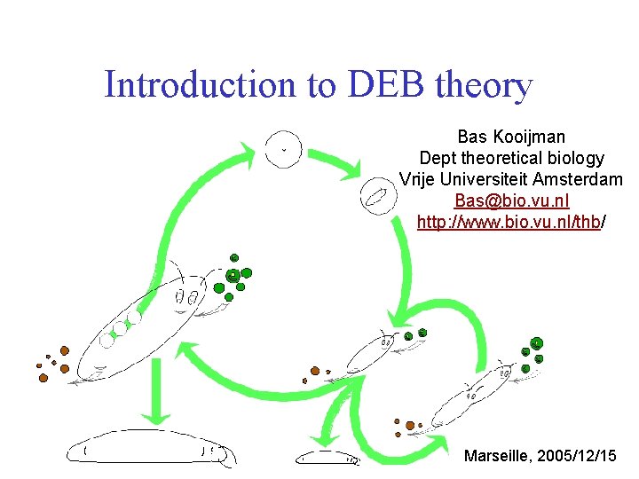 Introduction to DEB theory Bas Kooijman Dept theoretical biology Vrije Universiteit Amsterdam Bas@bio. vu.