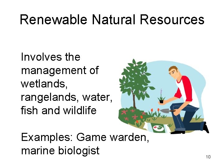 Renewable Natural Resources Involves the management of wetlands, rangelands, water, fish and wildlife Examples: