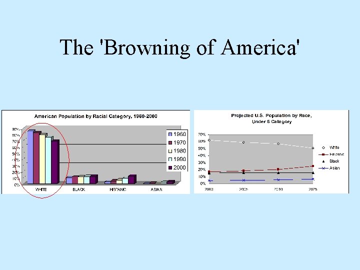 The 'Browning of America' 