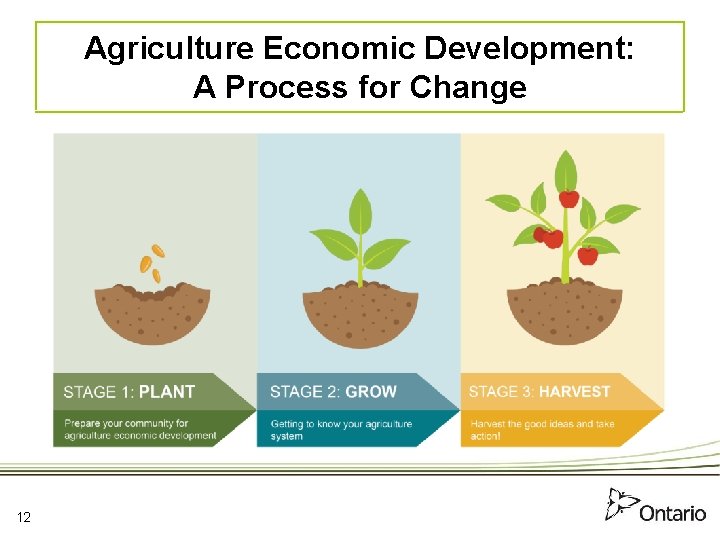 Agriculture Economic Development: A Process for Change 12 