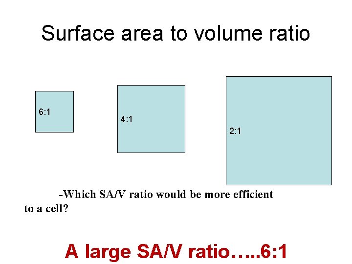 Surface area to volume ratio 6: 1 4: 1 2: 1 -Which SA/V ratio