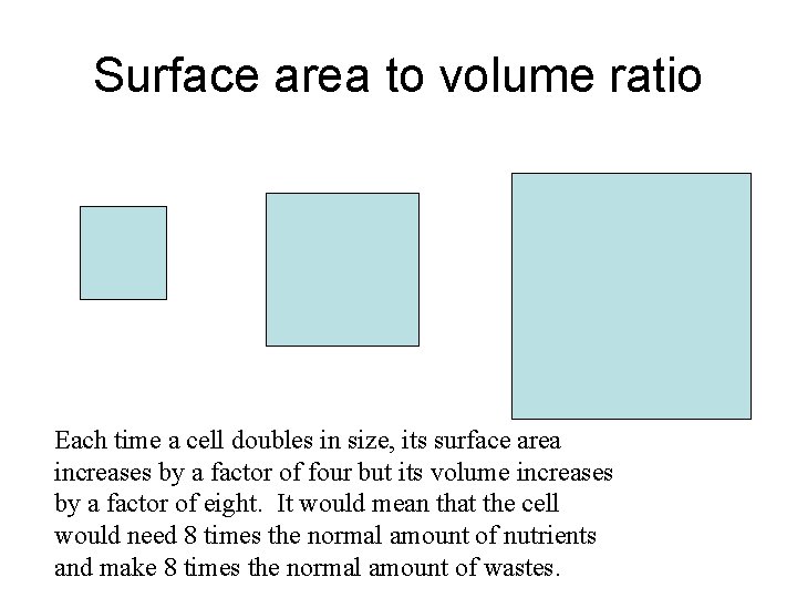 Surface area to volume ratio Each time a cell doubles in size, its surface