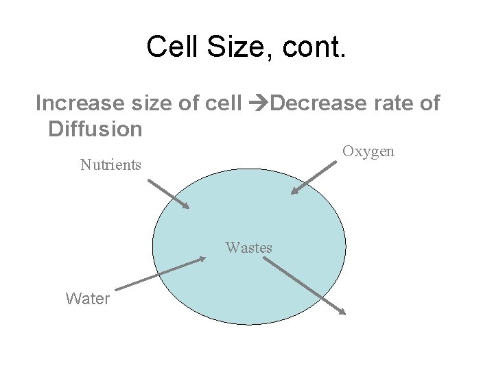 Cell Size, cont. Increase size of cell Decrease rate of Diffusion Oxygen Nutrients Wastes
