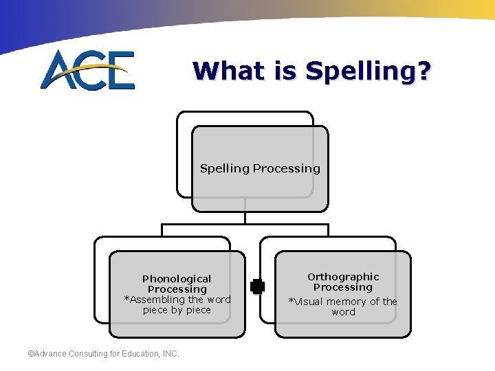 What is Spelling? Spelling Processing Phonological Processing *Assembling the word piece by piece ©Advance