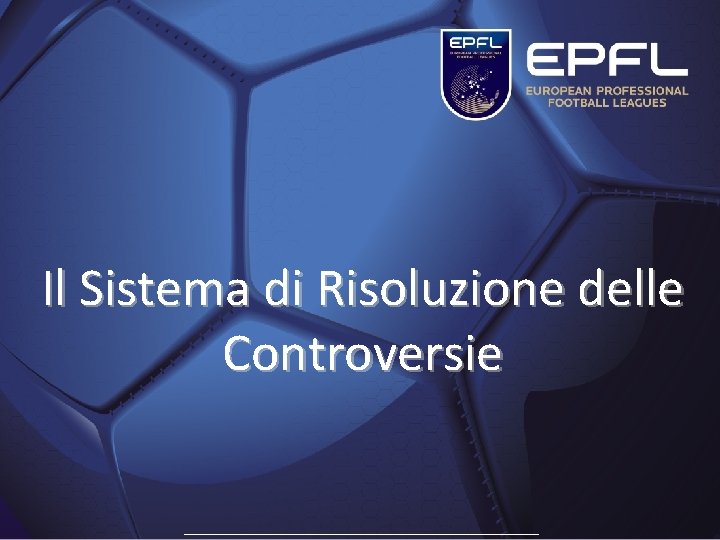 Il Sistema di Risoluzione delle Controversie ____________________________________________________________ Il Sistema di Risoluzione delle Controversie ____________________________________________________________