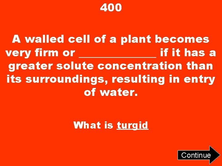 400 A walled cell of a plant becomes very firm or _______ if it