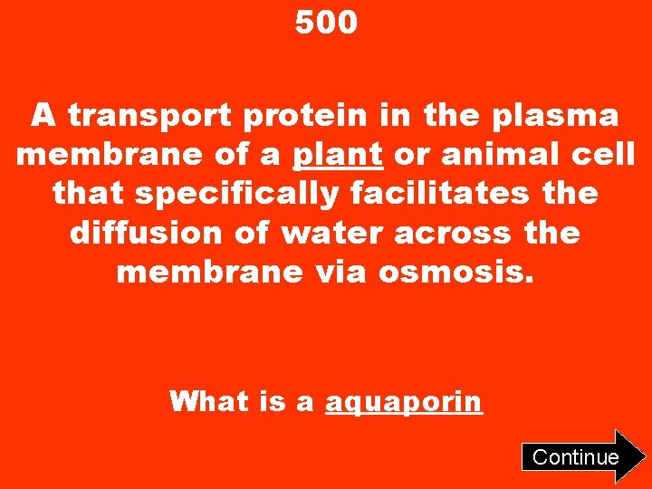 500 A transport protein in the plasma membrane of a plant or animal cell