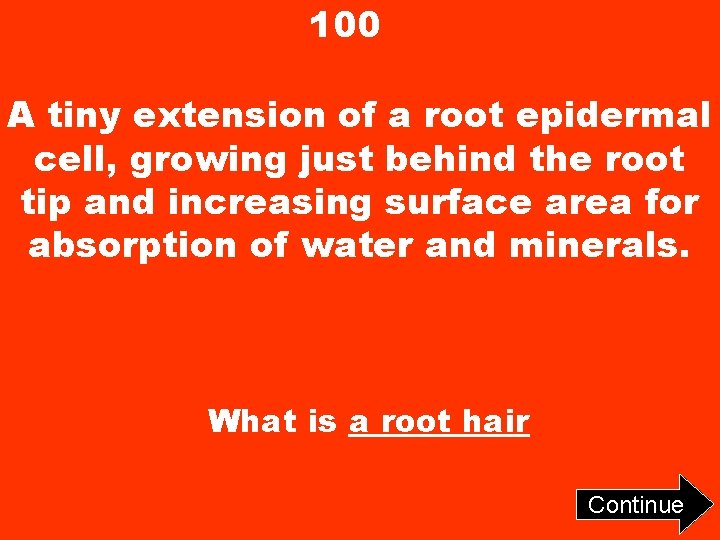 100 A tiny extension of a root epidermal cell, growing just behind the root