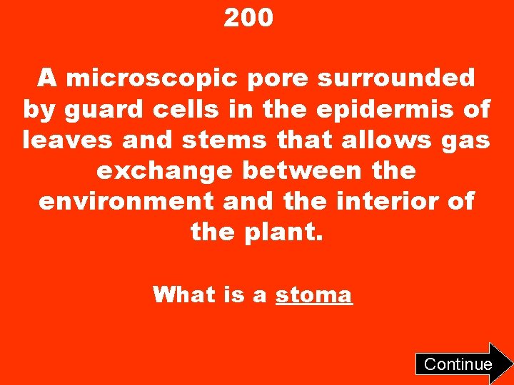 200 A microscopic pore surrounded by guard cells in the epidermis of leaves and