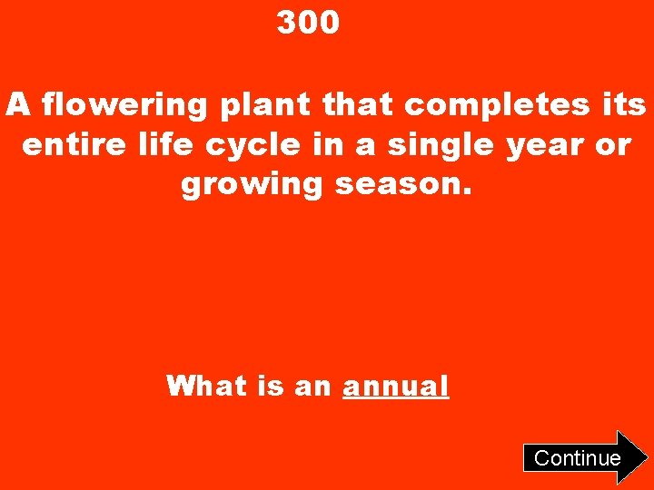 300 A flowering plant that completes its entire life cycle in a single year