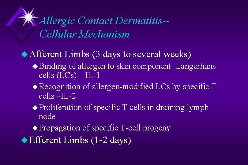 Allergic Contact Dermatitis-Cellular Mechanism u Afferent Limbs (3 days to several weeks) u Binding