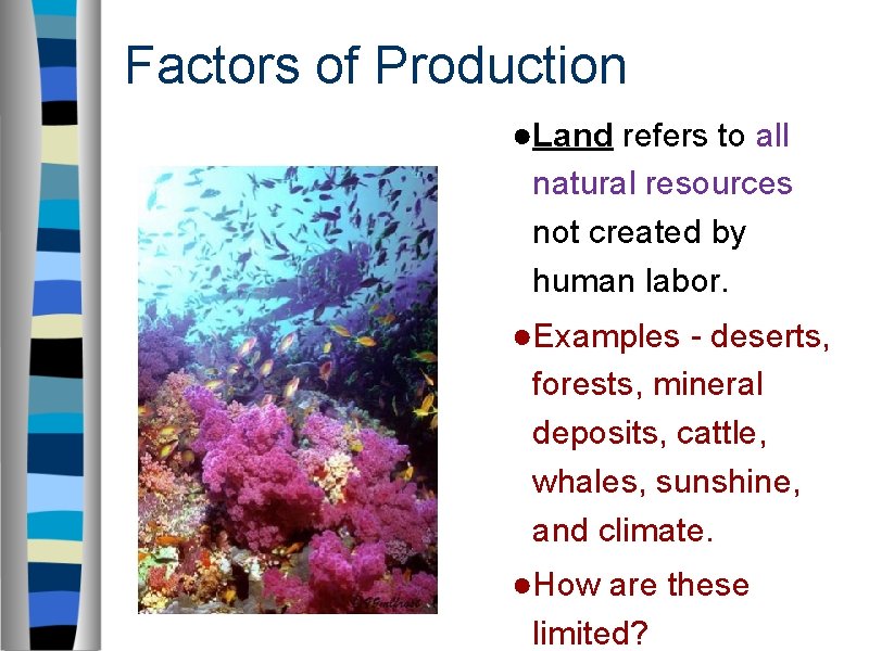 Factors of Production ●Land refers to all natural resources not created by human labor.