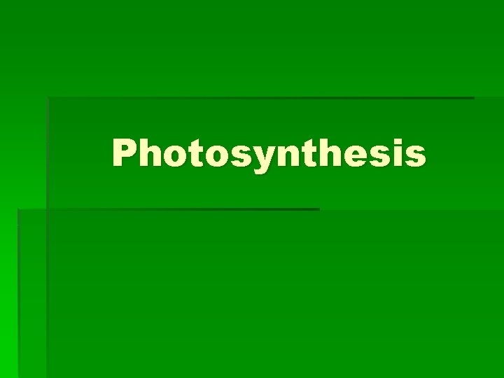 Photosynthesis 