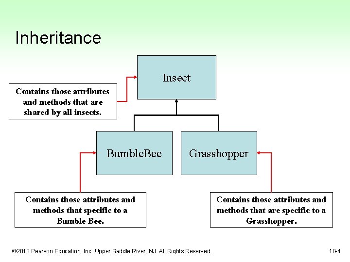 Inheritance Insect Contains those attributes and methods that are shared by all insects. Bumble.