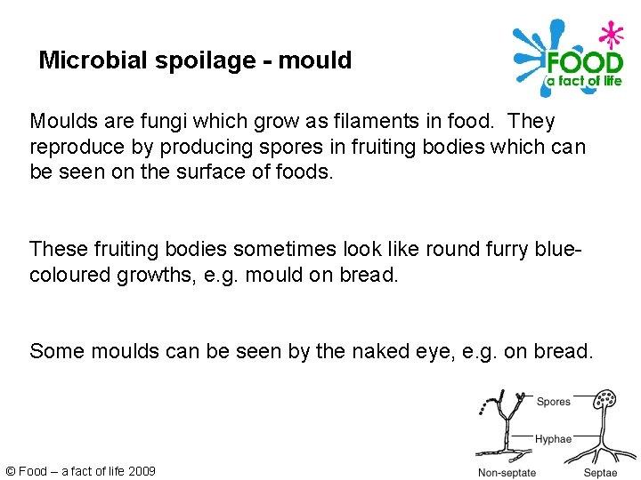 Microbial spoilage - mould Moulds are fungi which grow as filaments in food. They