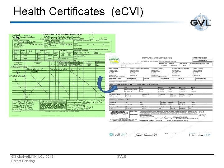Health Certificates (e. CVI) ©Global. Vet. LINK, LC. 2013 GVL® Patent Pending 