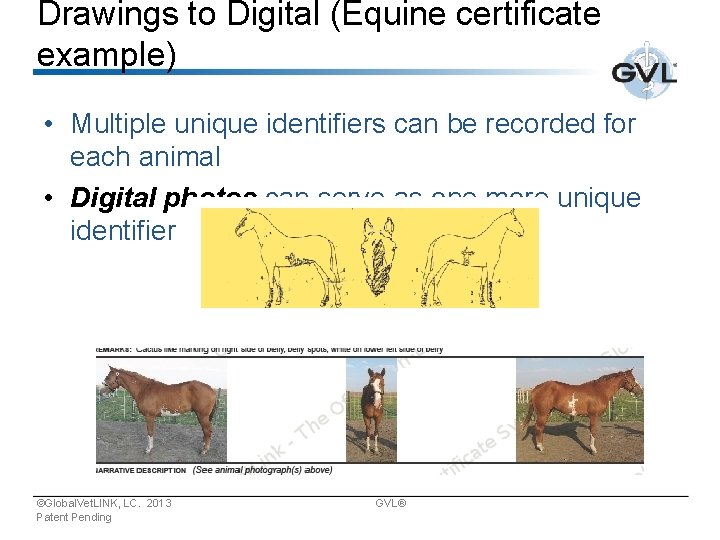 Drawings to Digital (Equine certificate example) • Multiple unique identifiers can be recorded for